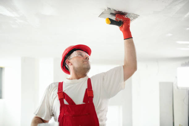 Mold Odor Removal Services in Sleepy Hollow Lake, NY