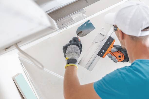 Best Black Mold Removal  in Sleepy Hollow Lake, NY